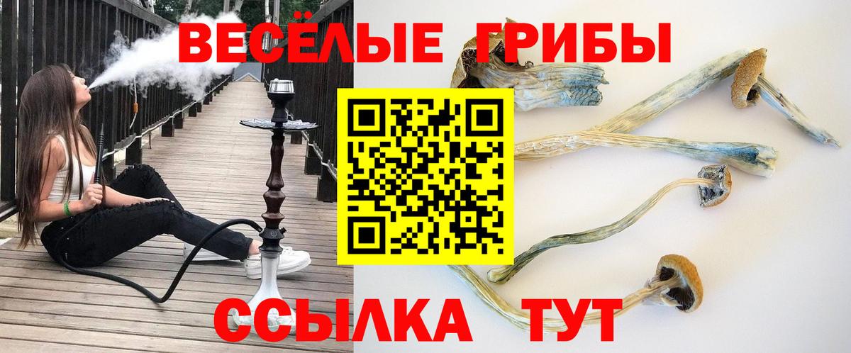 Армавир  Галлюциногенные грибы GOLDEN TEACHER  Псилоцибиновые грибы Psilocybe  Вход с VPN 